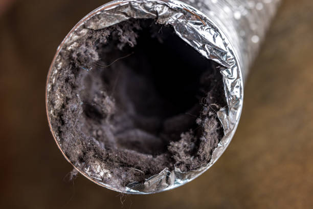 Best Affordable HVAC Duct Cleaning  in Whitewater, CA