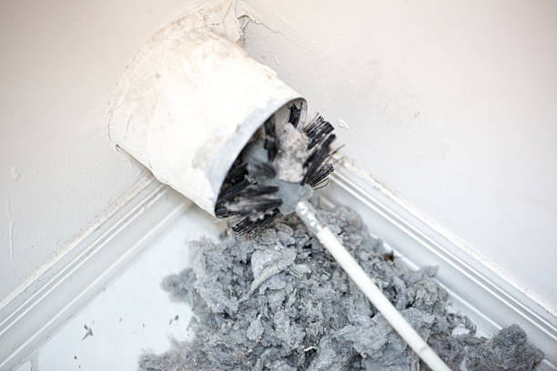 Best Affordable Duct Cleaning Services  in Whitewater, CA